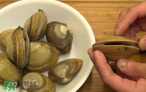北極貝多少錢(qián)一斤？北極貝長(zhǎng)什么樣子