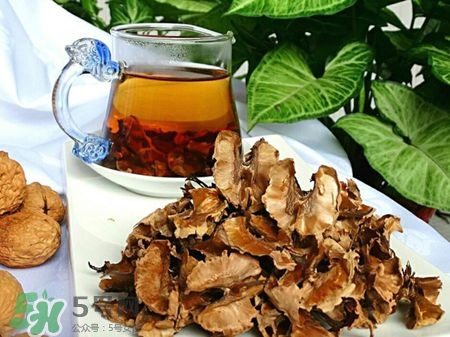 核桃分心木怎么泡水喝？核桃分心木泡水孕婦可以喝嗎？