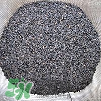 核桃粉怎么做？核桃粉的功效與作用