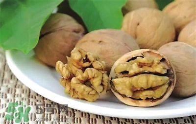 核桃分心木可以煲湯嗎？核桃分心木可以和枸杞泡水嗎？