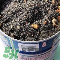 核桃粉怎么做？核桃粉的功效與作用