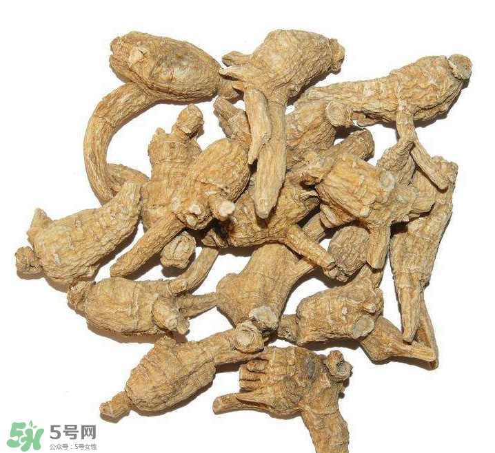 花旗參和西洋參的區(qū)別 花旗參好還是西洋參好？