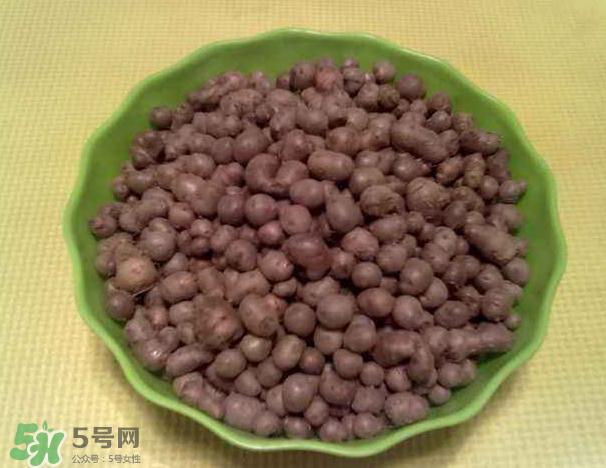山藥豆是什么東西？山藥豆是長(zhǎng)在土里嗎？