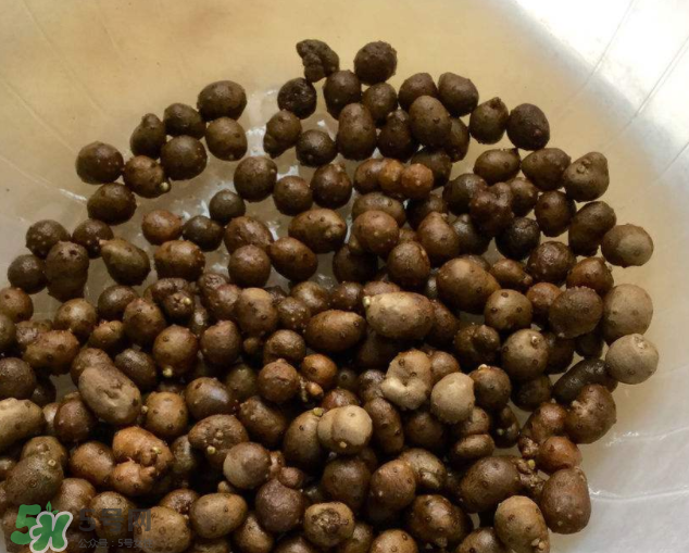 山藥豆能生吃嗎？山藥豆能帶皮吃嗎？