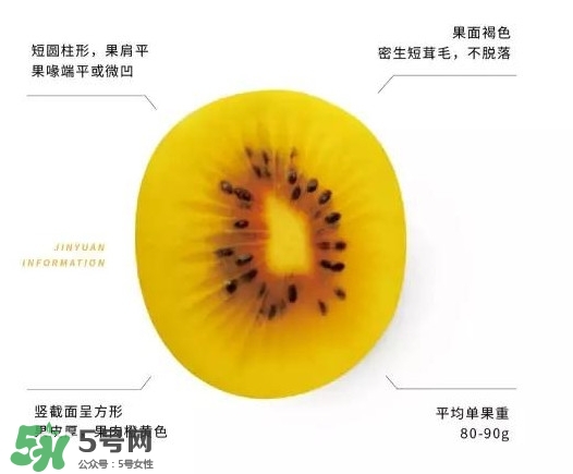 黃心獼猴桃叫什么名字？黃心獼猴桃是什么品種