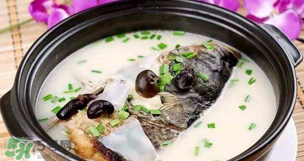 怎樣吃魚最有營養(yǎng)？喝魚湯會(huì)致高脂血癥嗎？
