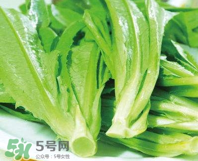 萵苣葉能吃嗎？萵苣葉和油麥菜有什么區(qū)別