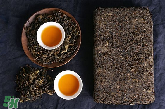 茯茶是熱性還是涼性？茯茶是不是放越久越好？