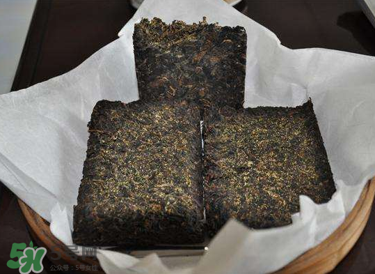 茯茶是熱性還是涼性？茯茶是不是放越久越好？