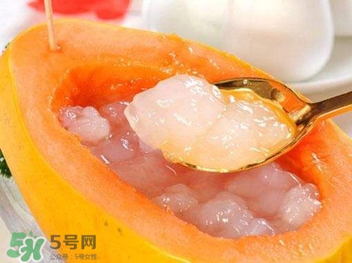 如何分辨雪蛤真假？挑雪蛤的方法