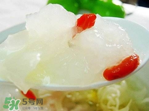 雪蛤膏是啥？雪蛤膏的功效與作用