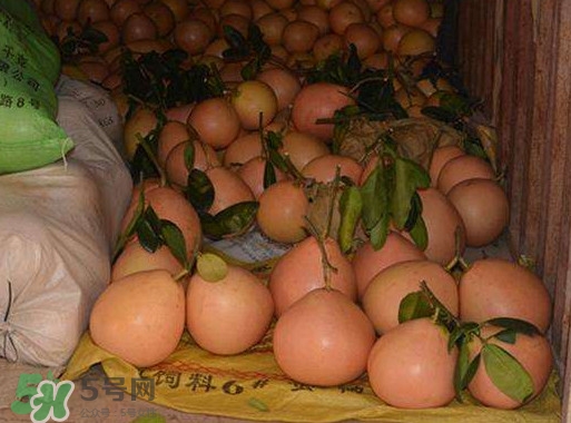 三紅蜜柚怎么儲藏保鮮？三紅蜜柚苗哪里可以買到
