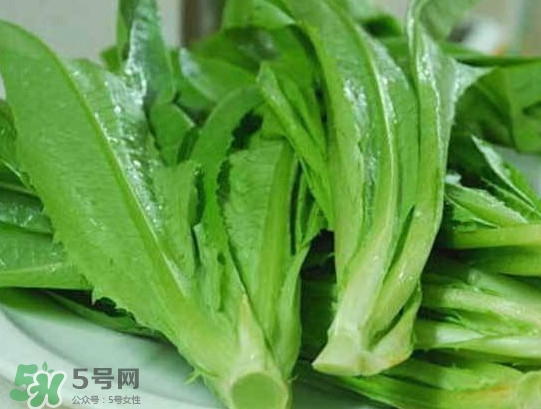 孕婦能吃涼拌萵苣葉嗎？萵苣葉煮水可以治蕁麻疹嗎