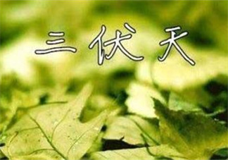 為什么三伏天最熱？如何過好三伏天？