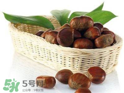 板栗酒能治療腎陽(yáng)虛嗎？板栗泡酒真的能壯陽(yáng)嗎？