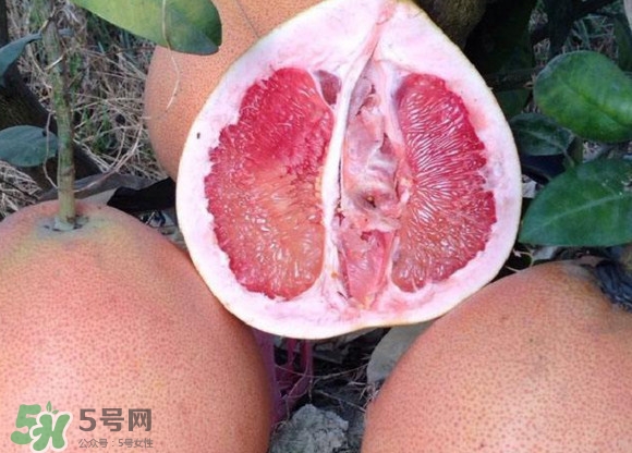 三紅蜜柚口味怎么樣？三紅蜜柚苗多少錢一棵