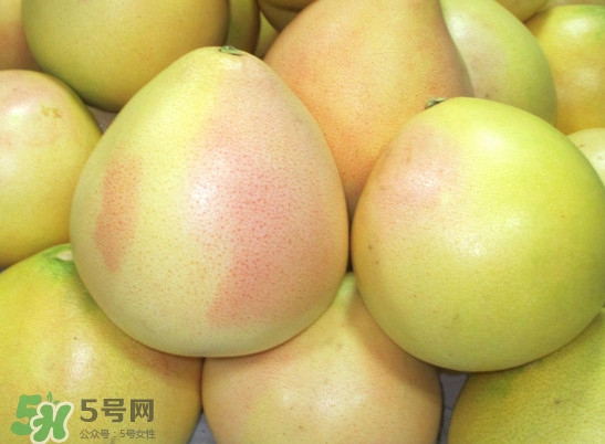 三紅蜜柚什么時候種植？三紅蜜柚什么時候成熟