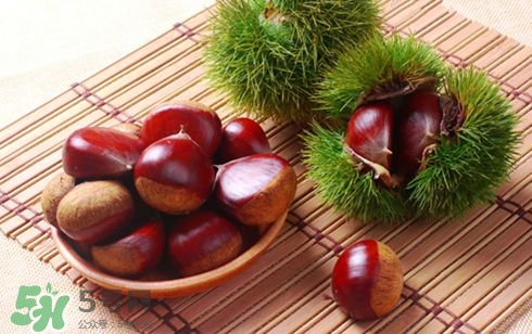 板栗酒能治療腎陽(yáng)虛嗎？板栗泡酒真的能壯陽(yáng)嗎？