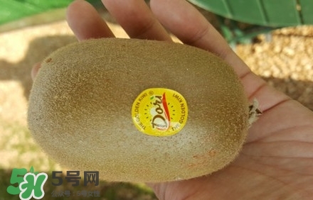 黃心獼猴桃叫什么名字？黃心獼猴桃是什么品種
