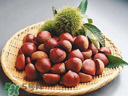 板栗酒能治療腎陽(yáng)虛嗎？板栗泡酒真的能壯陽(yáng)嗎？