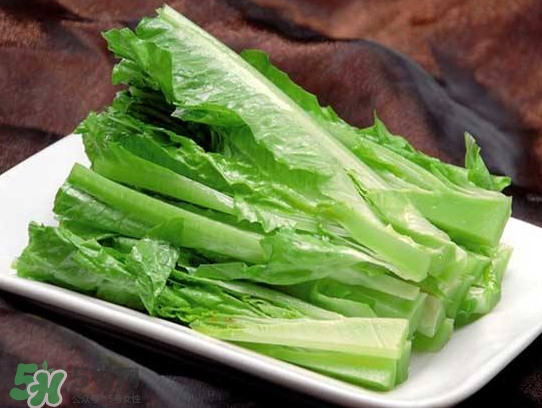 萵苣葉能吃嗎？萵苣葉和油麥菜有什么區(qū)別