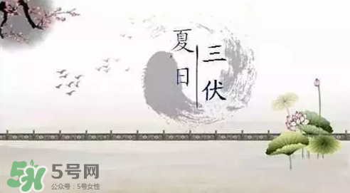 三伏天練什么？三伏天具體怎么養(yǎng)生？