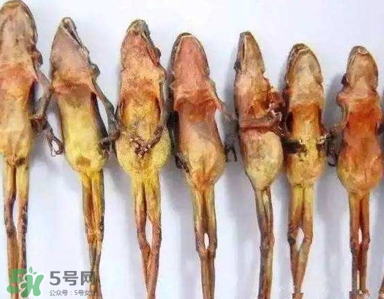 雪蛤干多少錢一斤？雪蛤干怎么吃？