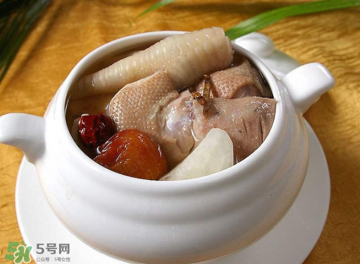 花膠可以放多久？花膠可以放冰箱嗎？