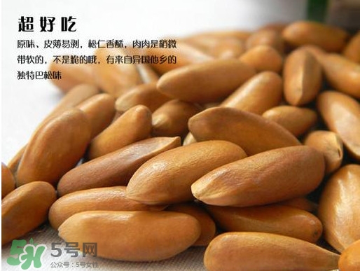 松籽可以生吃嗎？松籽怎么儲(chǔ)藏保存