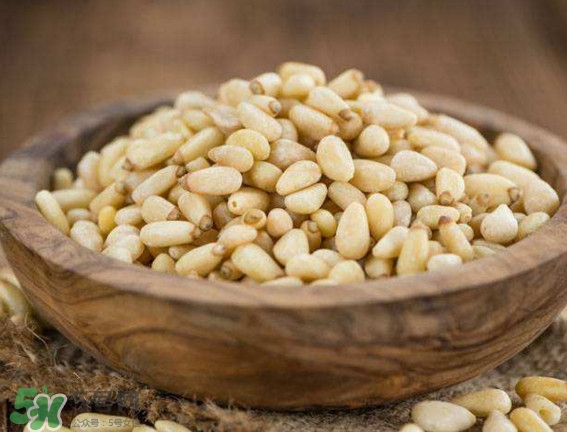 松籽是什么樹結(jié)的？松子還是松籽？