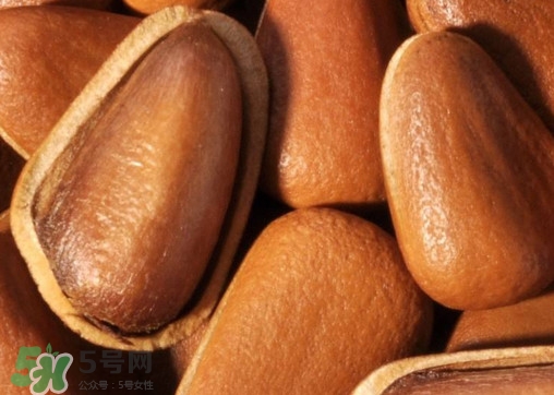 松籽什么季節(jié)采摘？吃松籽有什么好處？