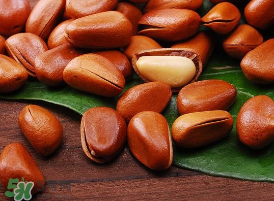 松籽可以生吃嗎？松籽怎么儲(chǔ)藏保存