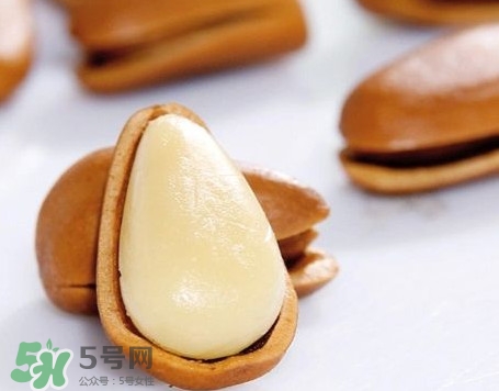 松子是松樹的果實嗎？松子是酸性還是堿性