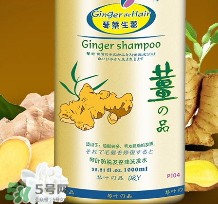 琴葉洗發(fā)水是哪國的？琴葉洗發(fā)水是幾線品牌