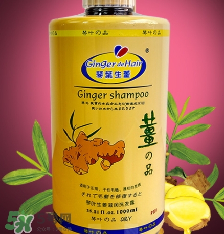 琴葉生姜洗發(fā)水好用嗎？琴葉生姜洗發(fā)水真假