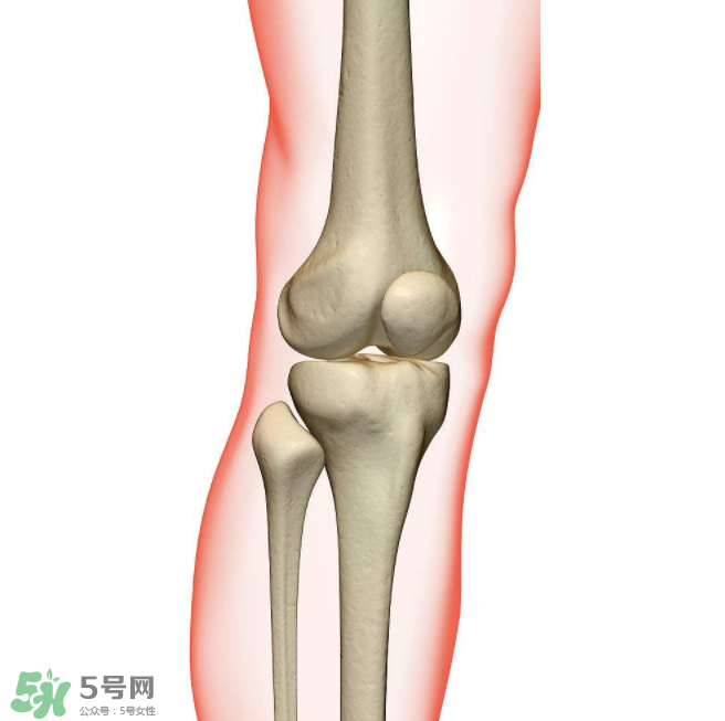 風(fēng)濕不治療可以治愈嗎？早期風(fēng)濕能自愈嗎？