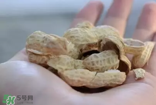 花生發(fā)芽后營養(yǎng)如何？花生殼煮水喝有什么用？
