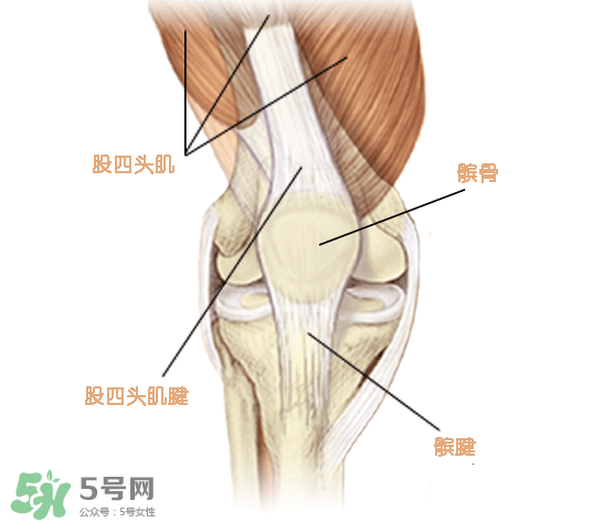 風(fēng)濕可以吃螃蟹嗎？得了風(fēng)濕能吃螃蟹嗎？