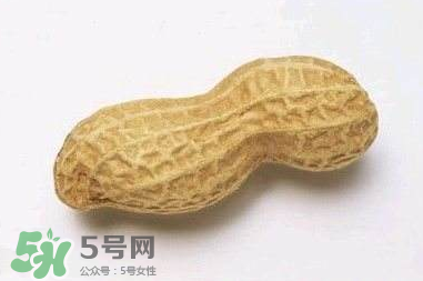 花生有哪些種類型？花生怎么栽培管理？