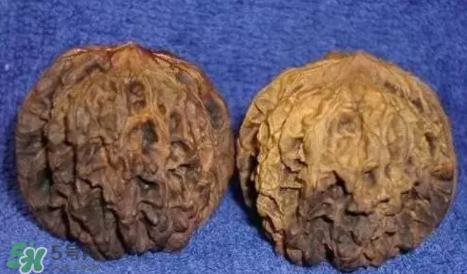 核桃上的陰皮是什么？核桃對血管的作用