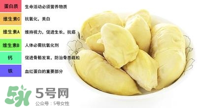 榴蓮可以榨汁嗎？榴蓮可以和什么榨汁？