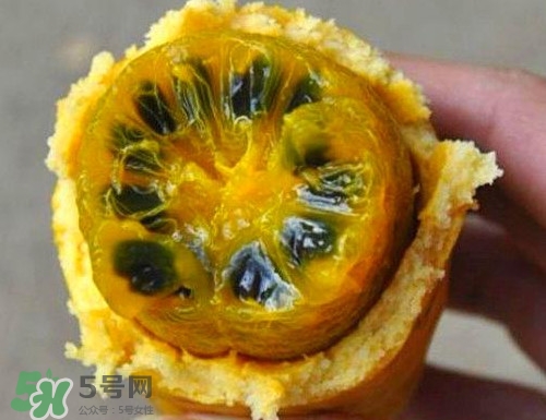 八月炸適合哪里種植？八月炸作用和功效是什么