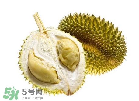 榴蓮籽能種嗎？榴蓮籽怎么種小盆栽？