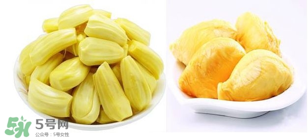 榴蓮和菠蘿蜜一樣嗎？榴蓮和菠蘿蜜哪個營養(yǎng)好？