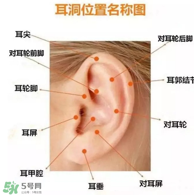 打耳洞多少錢一對(duì)？打耳洞相當(dāng)于什么疼