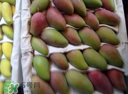 芒果有哪些品種？哪種芒果最好吃？