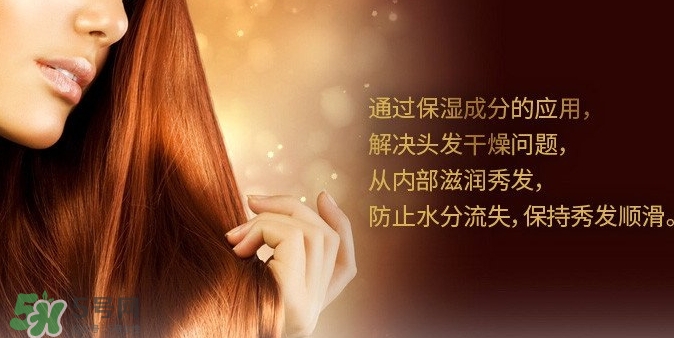 indefinie是什么牌子？indefinie洗發(fā)水怎么樣？