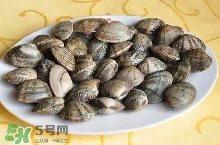 蛤蜊和花甲一樣嗎？蛤蜊和花甲的區(qū)別
