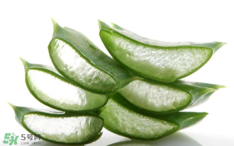 敏感肌能使用蘆薈護(hù)膚嗎？蘆薈膠有什么用？