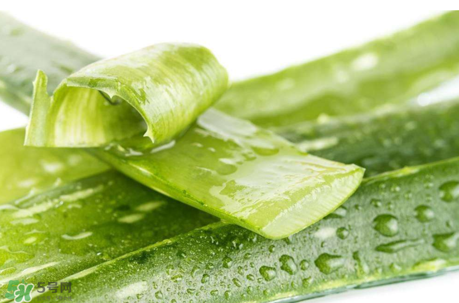 敏感肌能使用蘆薈護(hù)膚嗎？蘆薈膠有什么用？